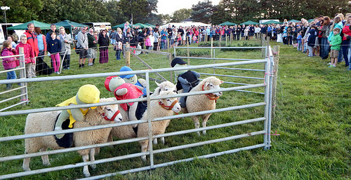 Philleigh Country Fayre