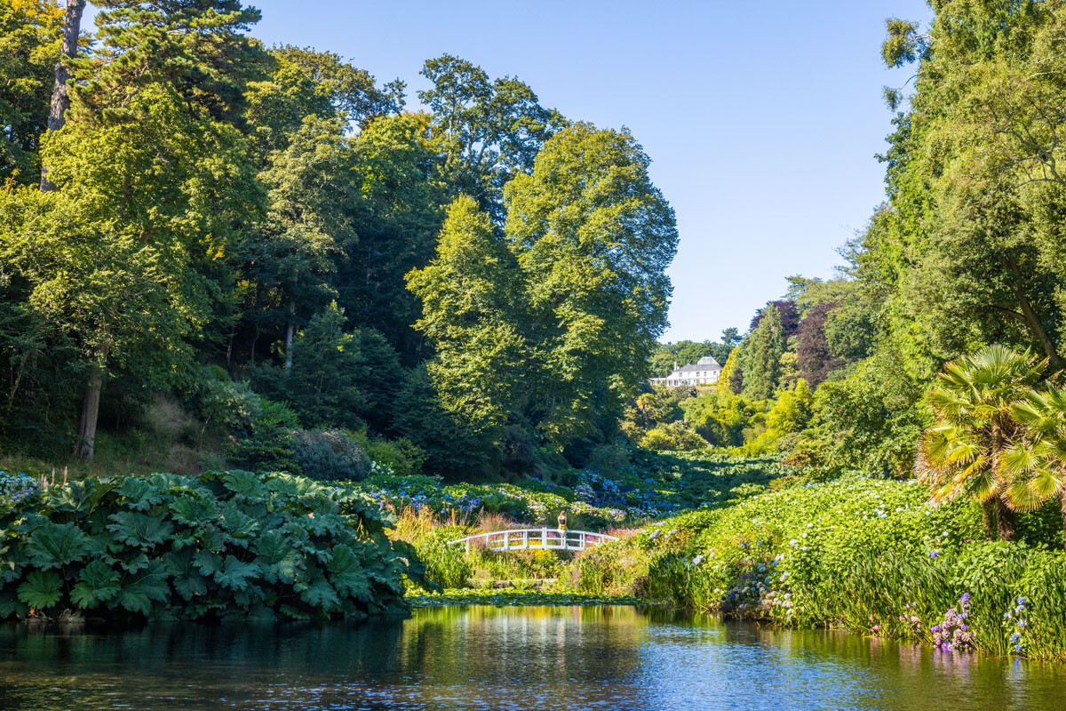 Trebah Garden